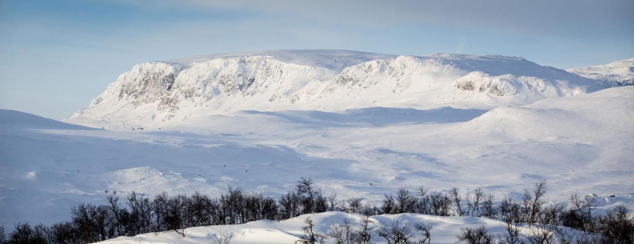 Kikut Alpin Lodge Ski In - Ski Out يالو المظهر الخارجي الصورة